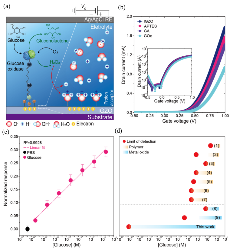 Key figure for **Chuljin Hwang**, **Sungjun Park**, **Dae Yu Kim**Noninvasive and Ultrasensitive Glucose Detecti...