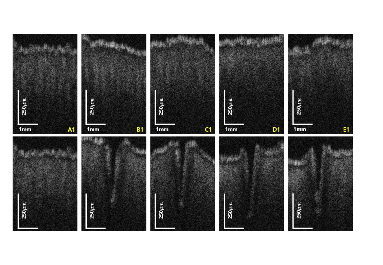 Key figure for **Hang Chan Jo**, Jae Hun Kim, **Dae Yu Kim**Comparison of Light Absorption Levels with Different...